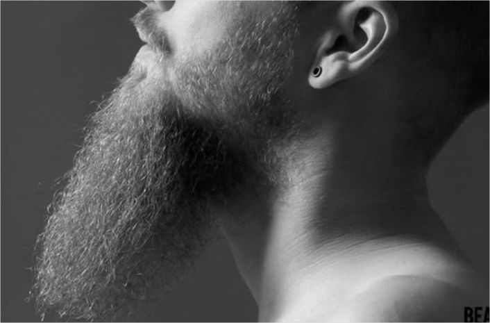 A man with long goatee beard
