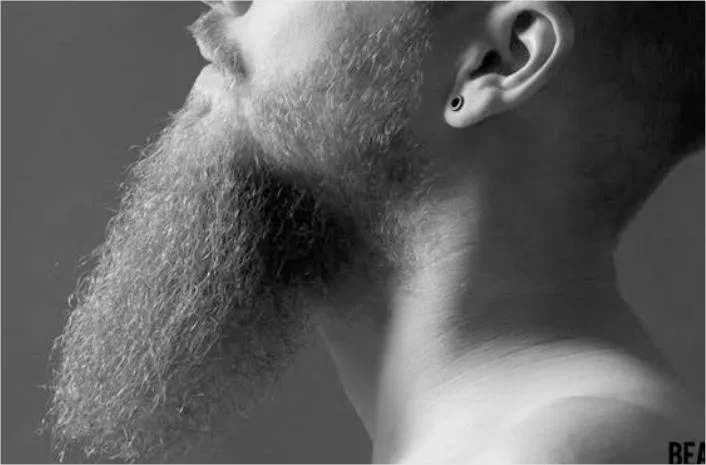 A man with long goatee beard