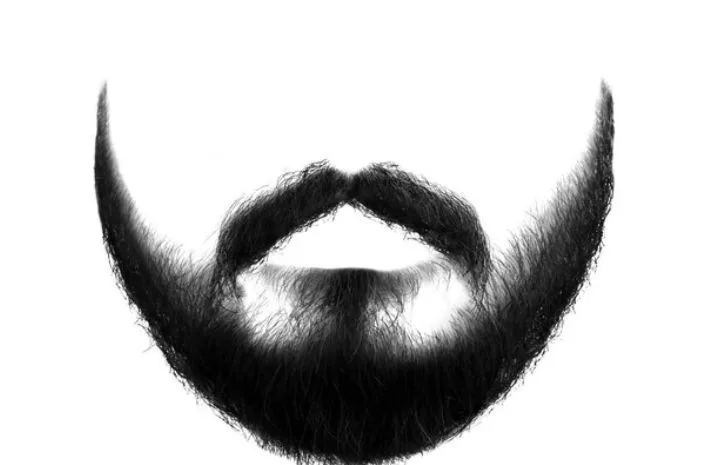 A typical representation of beard