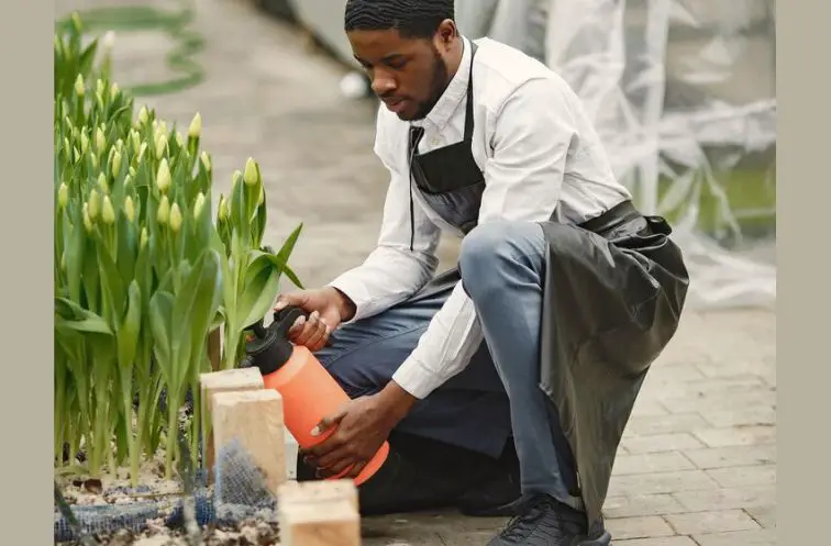 Gardening, one of the hobbies for men in their 40s