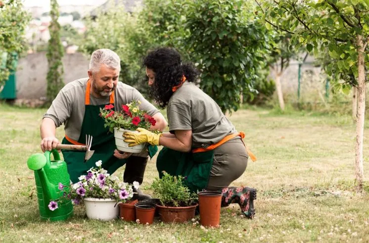 Hobbies for 50s and beyond men