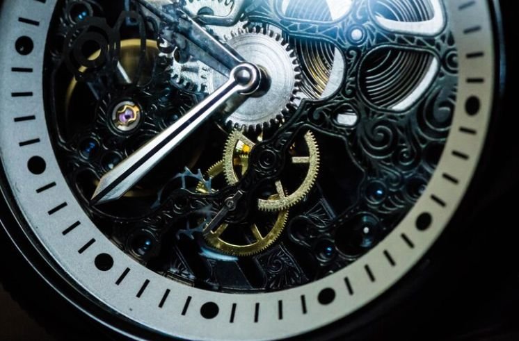 A skeletal and anatomy of watch movement