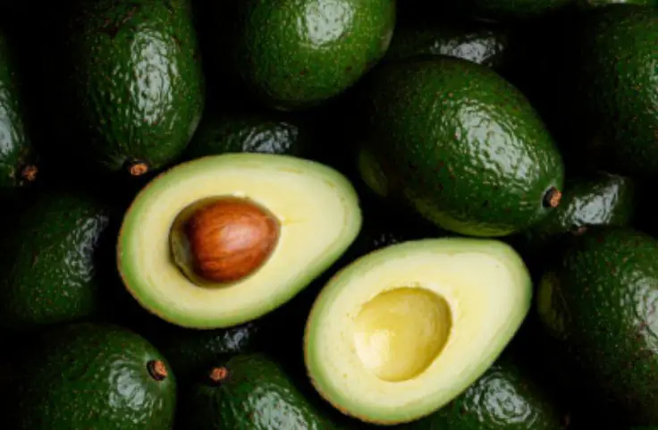 Avocado for testosterone