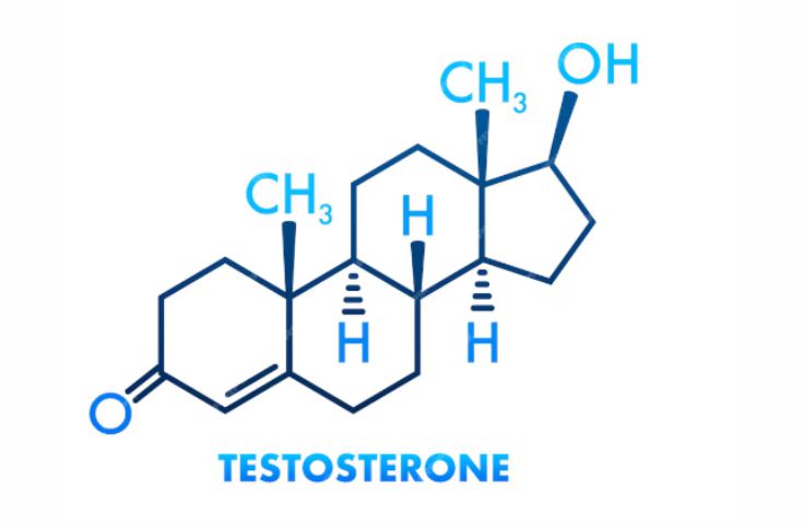 The chemical structure of testosterone