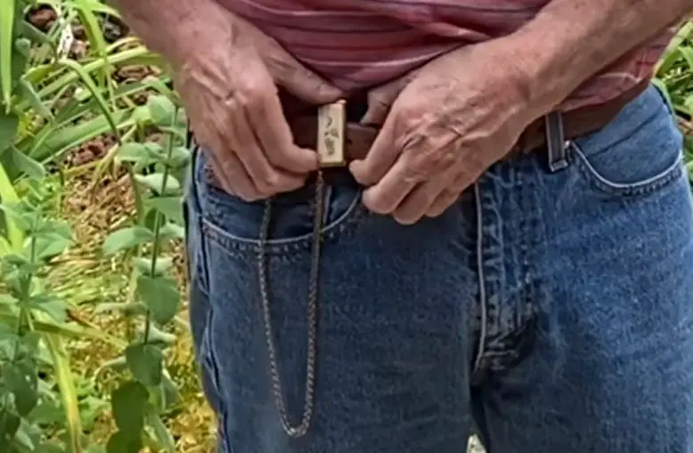 Belt bar chain