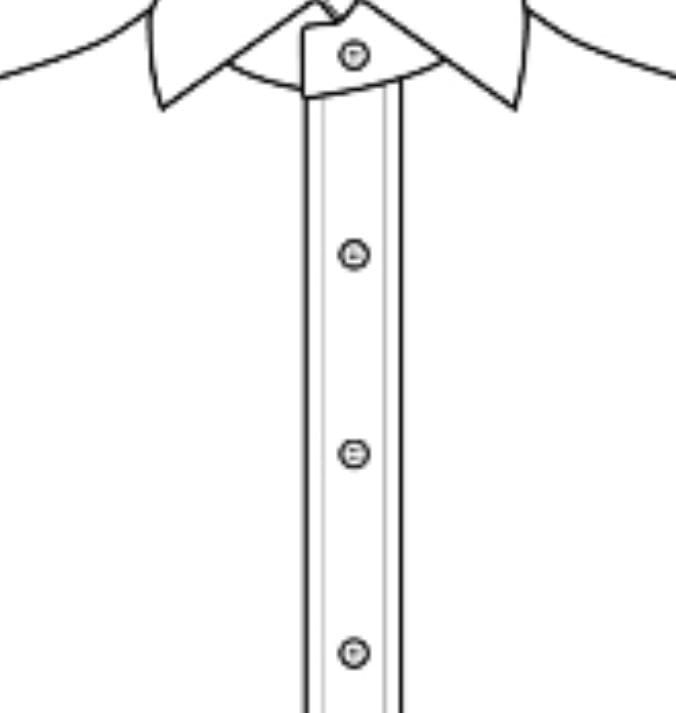 Dress shirt placket 