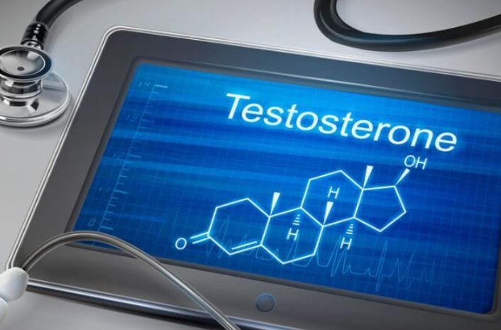 The structure of testosterone