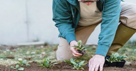 A country gentleman farming as a hobby