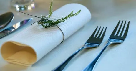 Dinner napkin for gentleman's napkin guidelines during meal