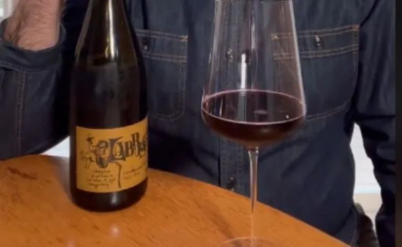 Lambrusco sparkling red wine - a type of sparkling wine
