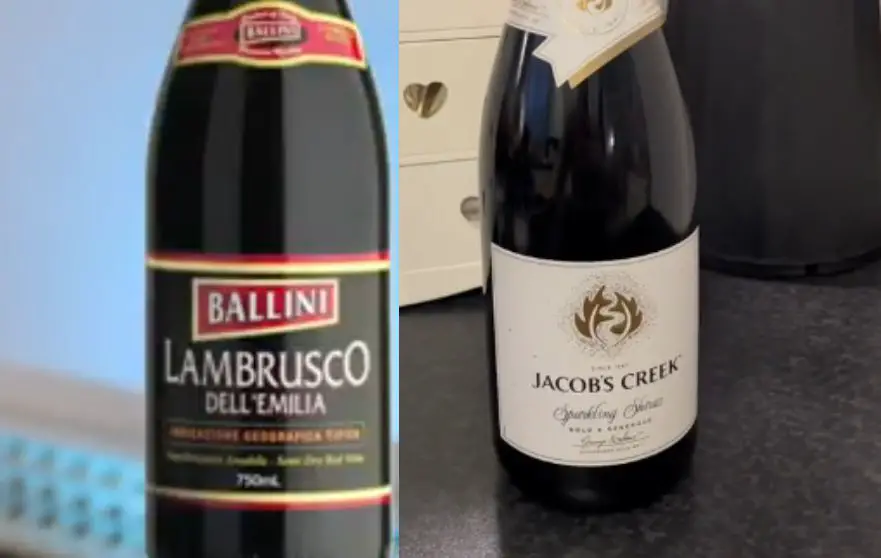 What is the Difference Between Sparkling Red and Lambrusco?