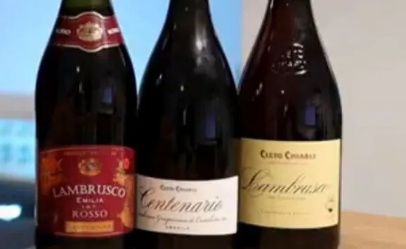 Types of Sparkling red wine