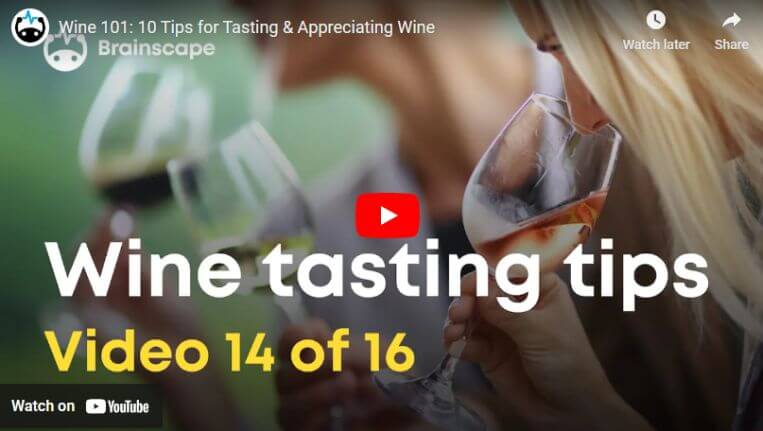 Video on wine appreciation and tasting